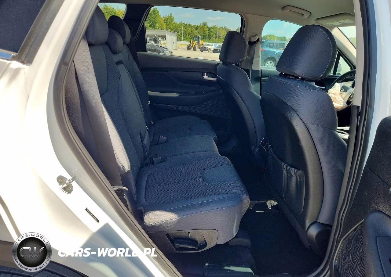 2021 Hyundai Santa Fe Sel VIN:5NMS2DAJ5MH352773 - 11