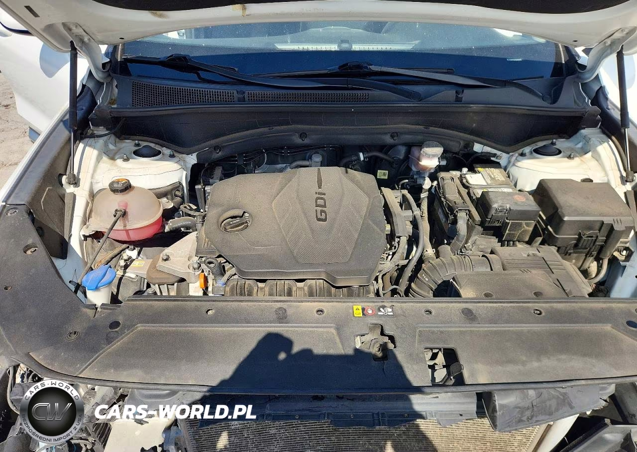 2021 Hyundai Santa Fe Sel VIN:5NMS2DAJ5MH352773 - 12