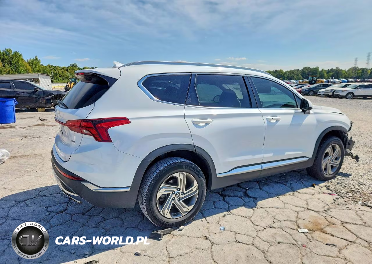 2021 Hyundai Santa Fe Sel VIN:5NMS2DAJ5MH352773 - 3