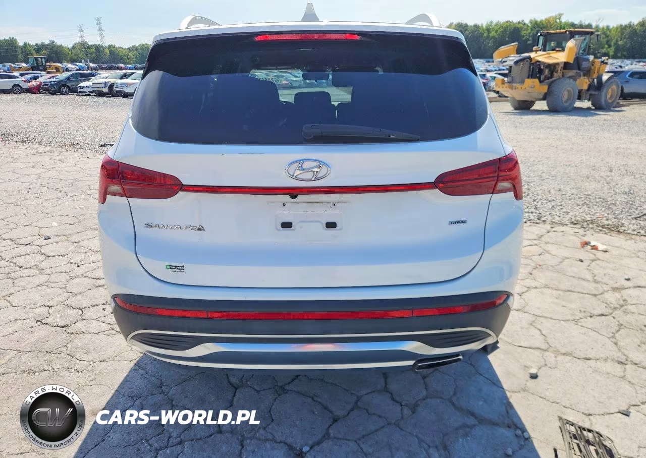 2021 Hyundai Santa Fe Sel VIN:5NMS2DAJ5MH352773 - 6