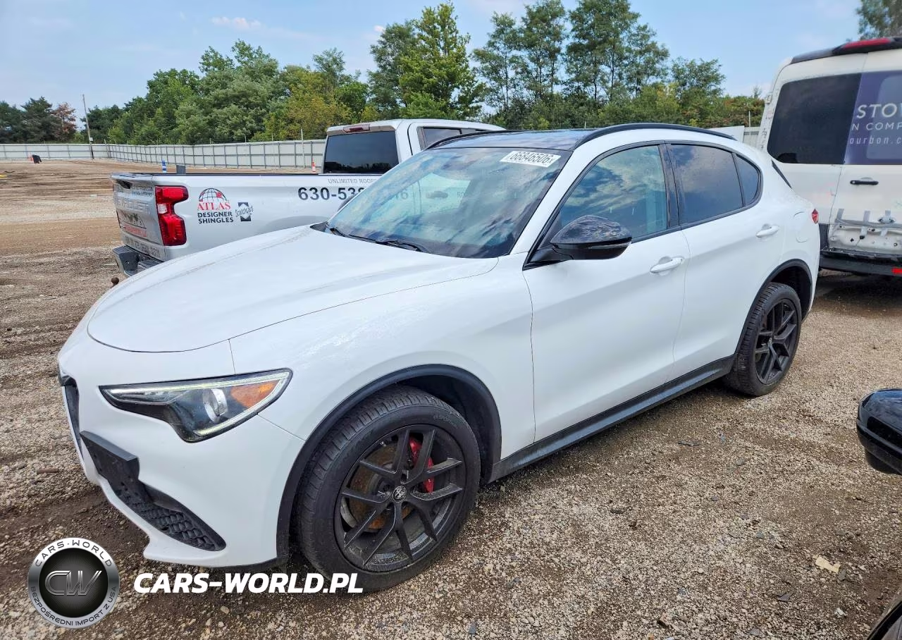 2020 Alfa Romeo Stelvio VIN:ZASPAKAN4L7C86536 - 1
