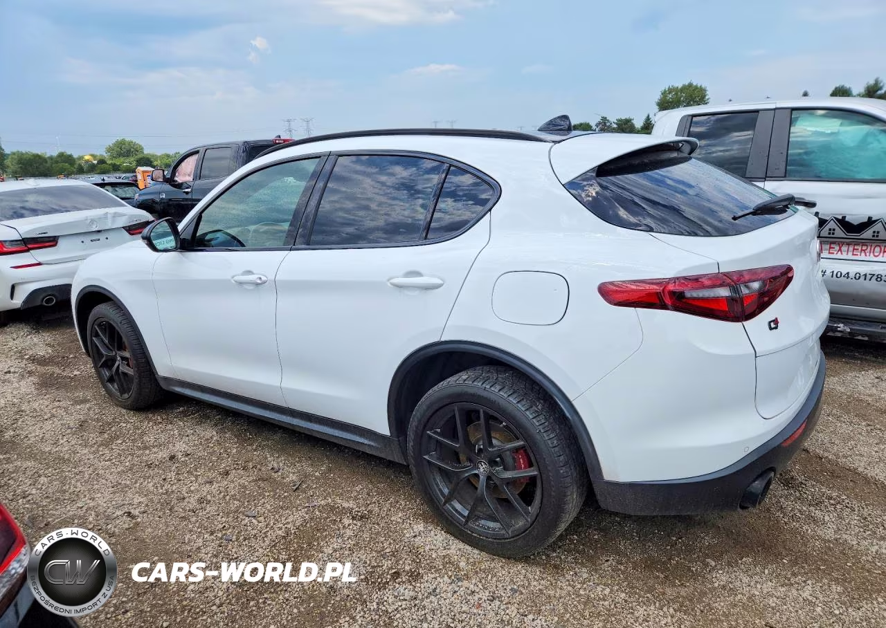 2020 Alfa Romeo Stelvio VIN:ZASPAKAN4L7C86536 - 2