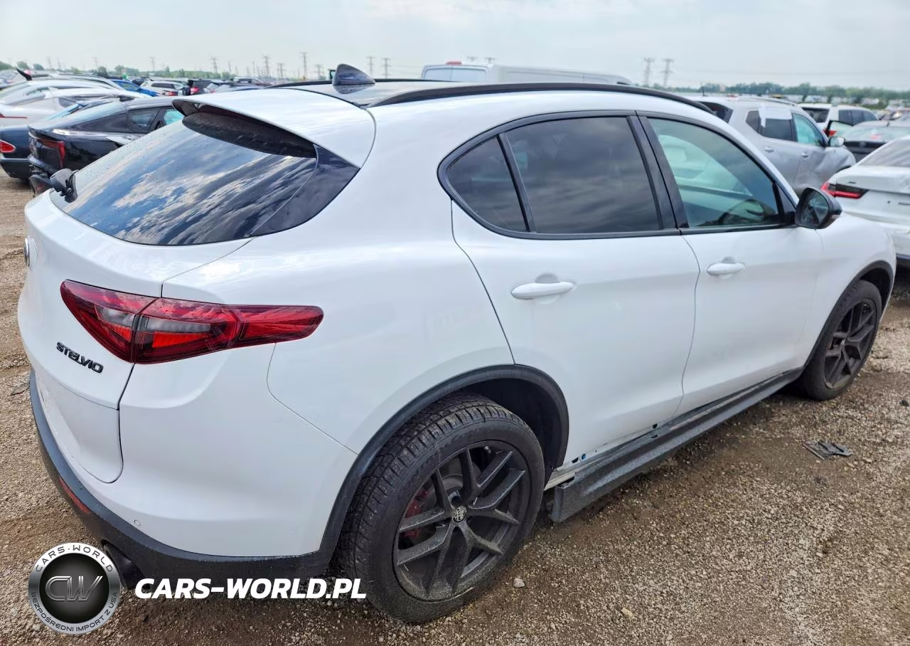 2020 Alfa Romeo Stelvio VIN:ZASPAKAN4L7C86536 - 3