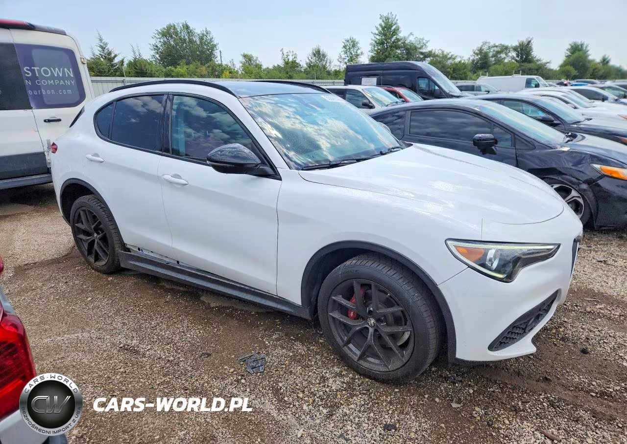 2020 Alfa Romeo Stelvio VIN:ZASPAKAN4L7C86536 - 4