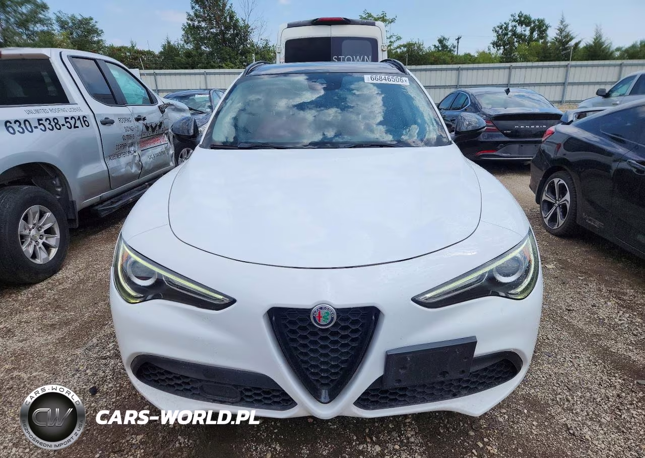 2020 Alfa Romeo Stelvio VIN:ZASPAKAN4L7C86536 - 5