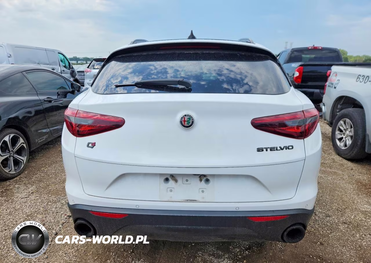 2020 Alfa Romeo Stelvio VIN:ZASPAKAN4L7C86536 - 6