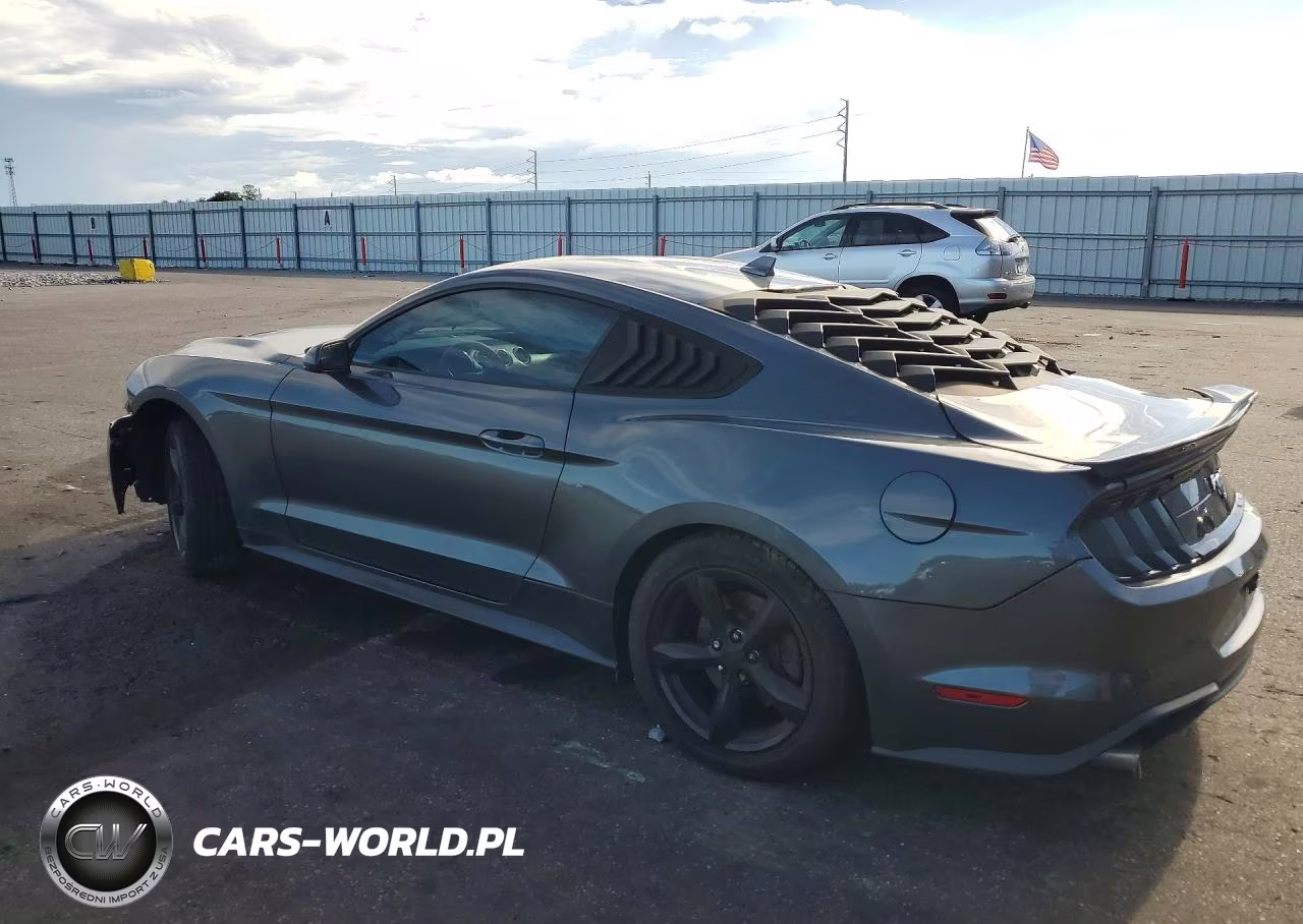 2020 Ford Mustang VIN:1FA6P8TH0L5145560 - 2