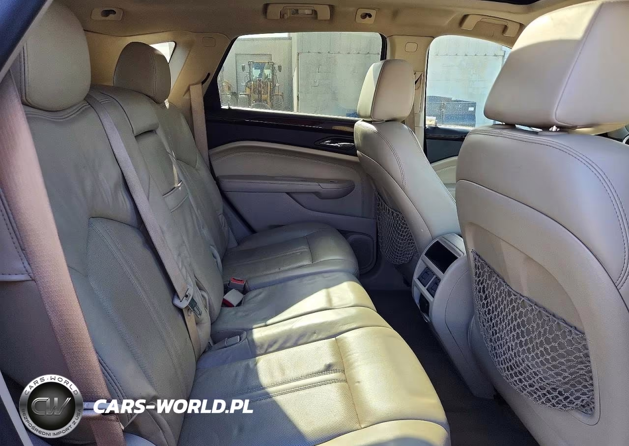2010 Cadillac Srx Luxury Collection VIN:3GYFNDEY0AS583546 - 10