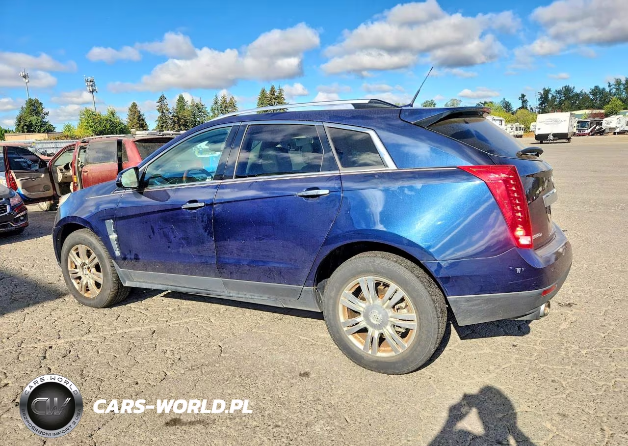 2010 Cadillac Srx Luxury Collection VIN:3GYFNDEY0AS583546 - 2