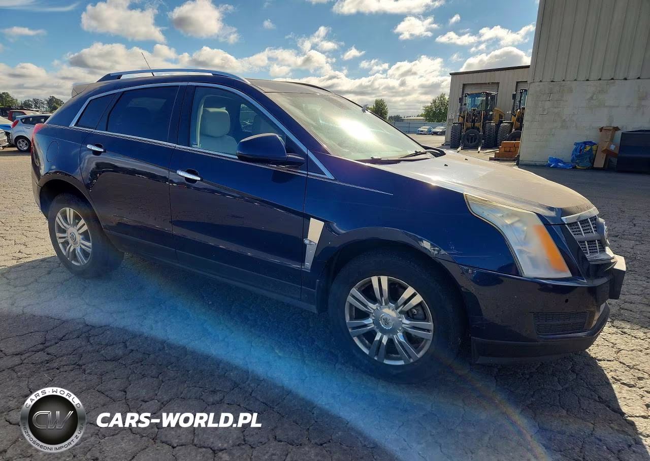 2010 Cadillac Srx Luxury Collection VIN:3GYFNDEY0AS583546 - 4