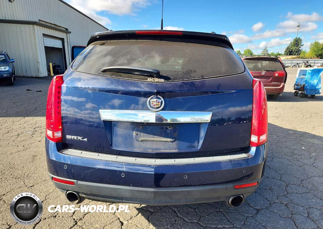 2010 Cadillac Srx Luxury Collection VIN:3GYFNDEY0AS583546 - 6
