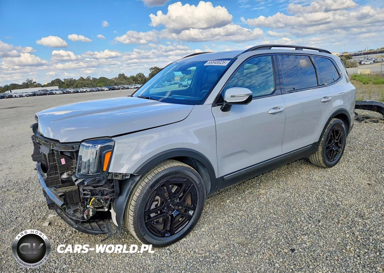 2023 Kia Telluride Sx-Prestige X-Line VIN:5XYP5DGC4PG357368 - 1
