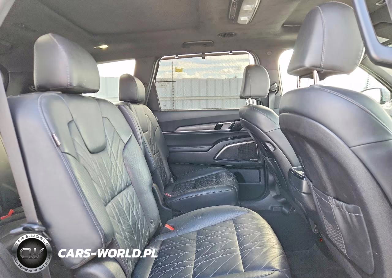 2023 Kia Telluride Sx-Prestige X-Line VIN:5XYP5DGC4PG357368 - 11