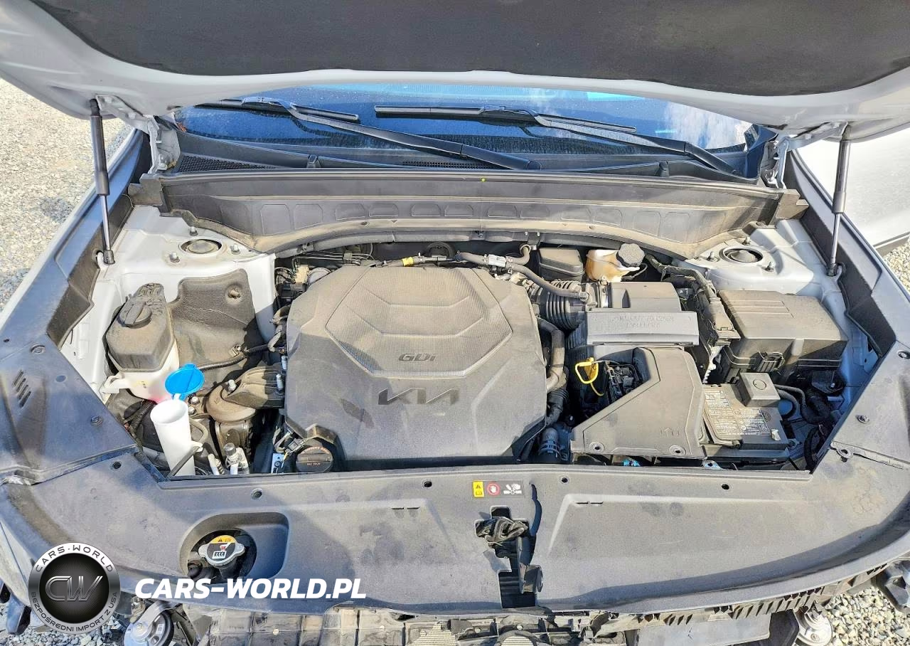 2023 Kia Telluride Sx-Prestige X-Line VIN:5XYP5DGC4PG357368 - 12
