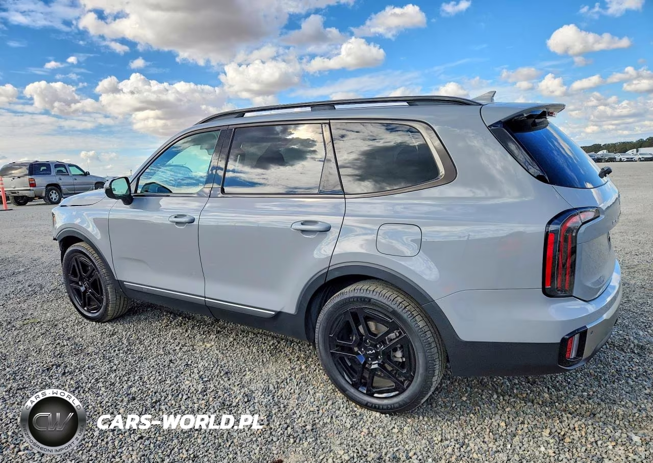 2023 Kia Telluride Sx-Prestige X-Line VIN:5XYP5DGC4PG357368 - 2
