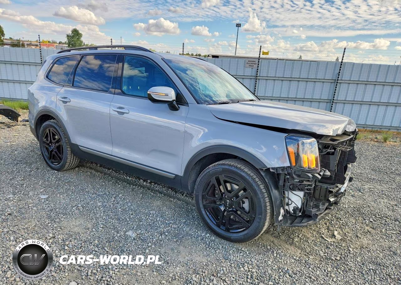 2023 Kia Telluride Sx-Prestige X-Line VIN:5XYP5DGC4PG357368 - 4