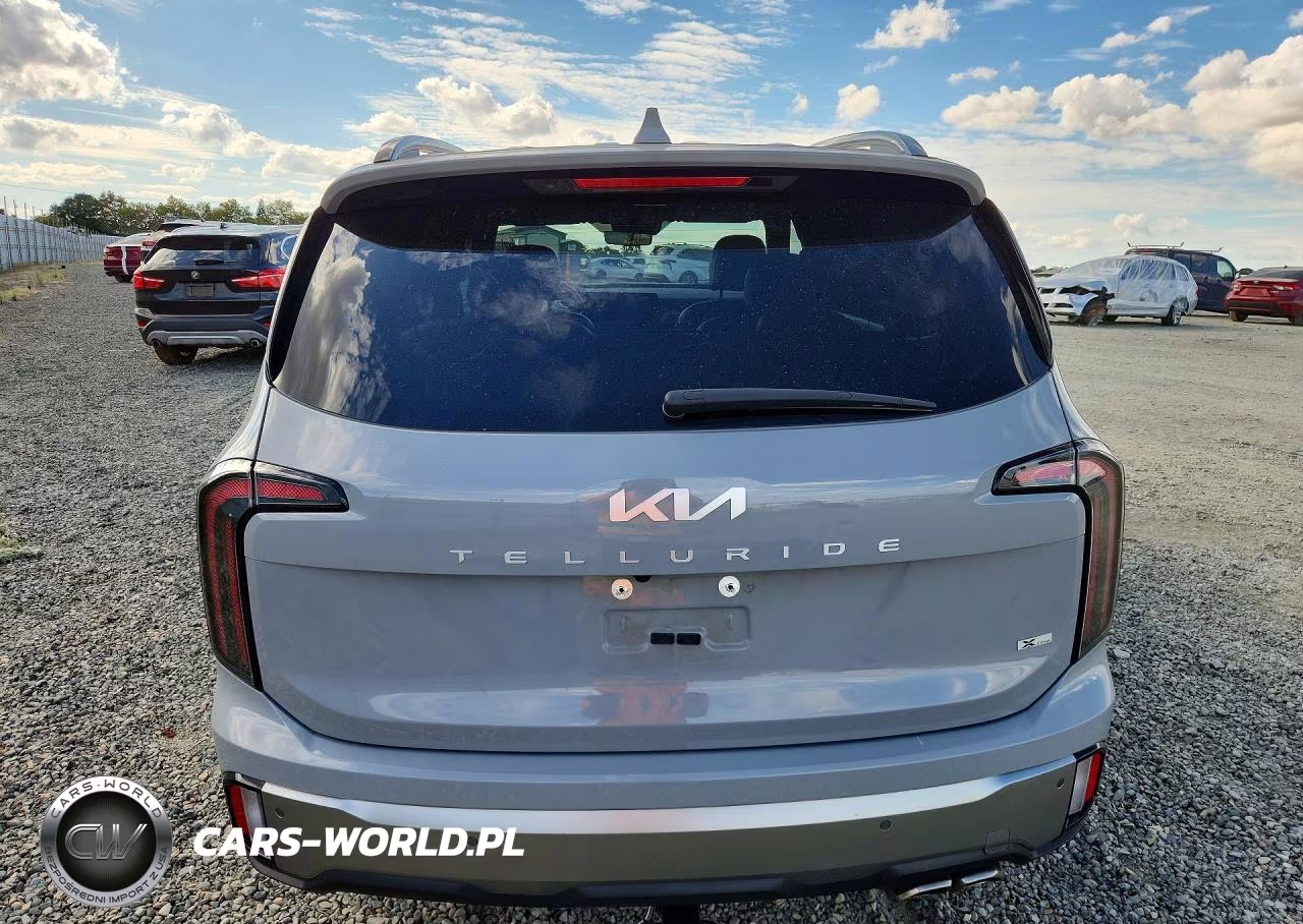 2023 Kia Telluride Sx-Prestige X-Line VIN:5XYP5DGC4PG357368 - 6