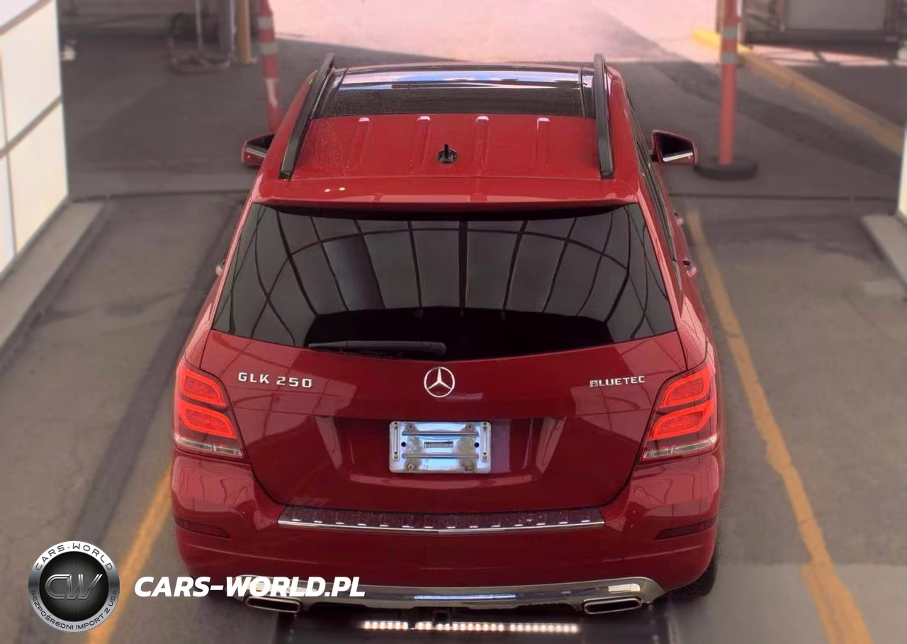 2015 Mercedes-Benz Glk 250 Bluetec VIN:WDCGG0EB8FG389243 - 13