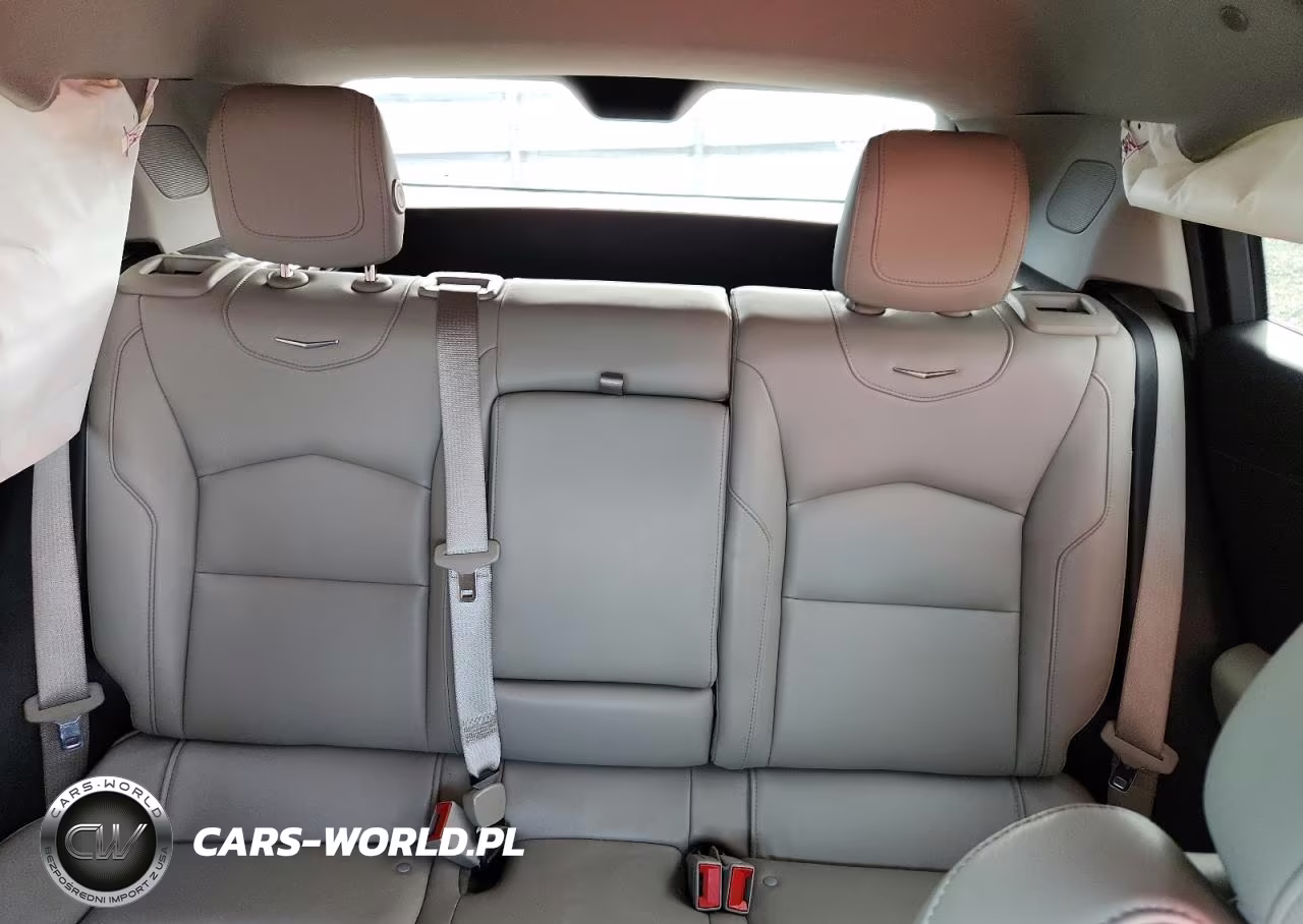 2019 Cadillac Xt4 Luxury VIN:1GYFZBR47KF217296 - 10