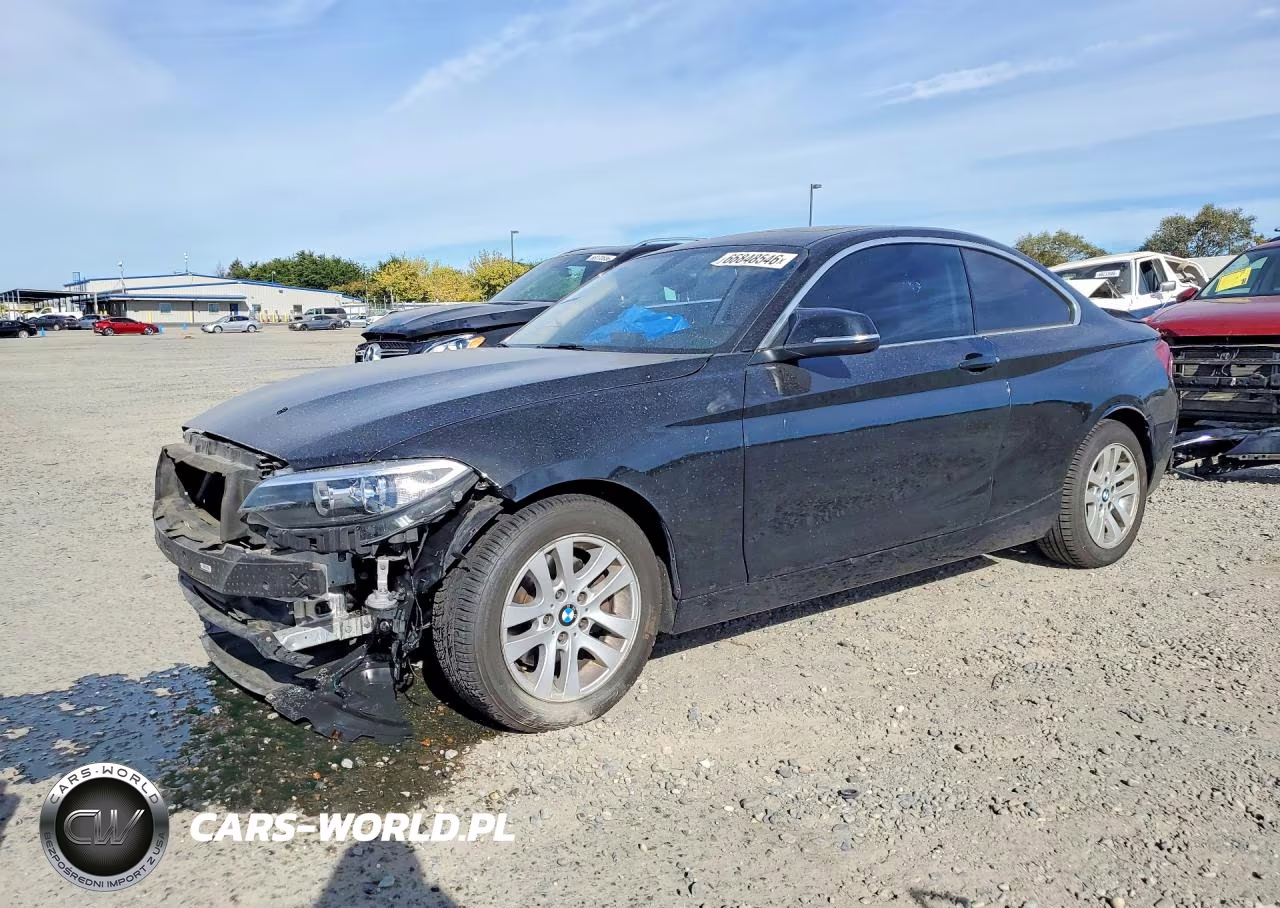 2015 BMW 228 Xi