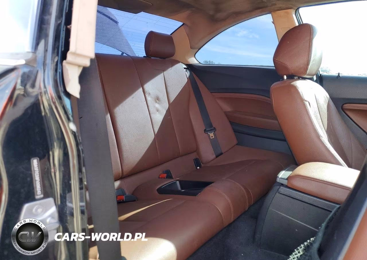 2015 BMW 228 Xi VIN:WBA1F7C59FVX96243 - 10