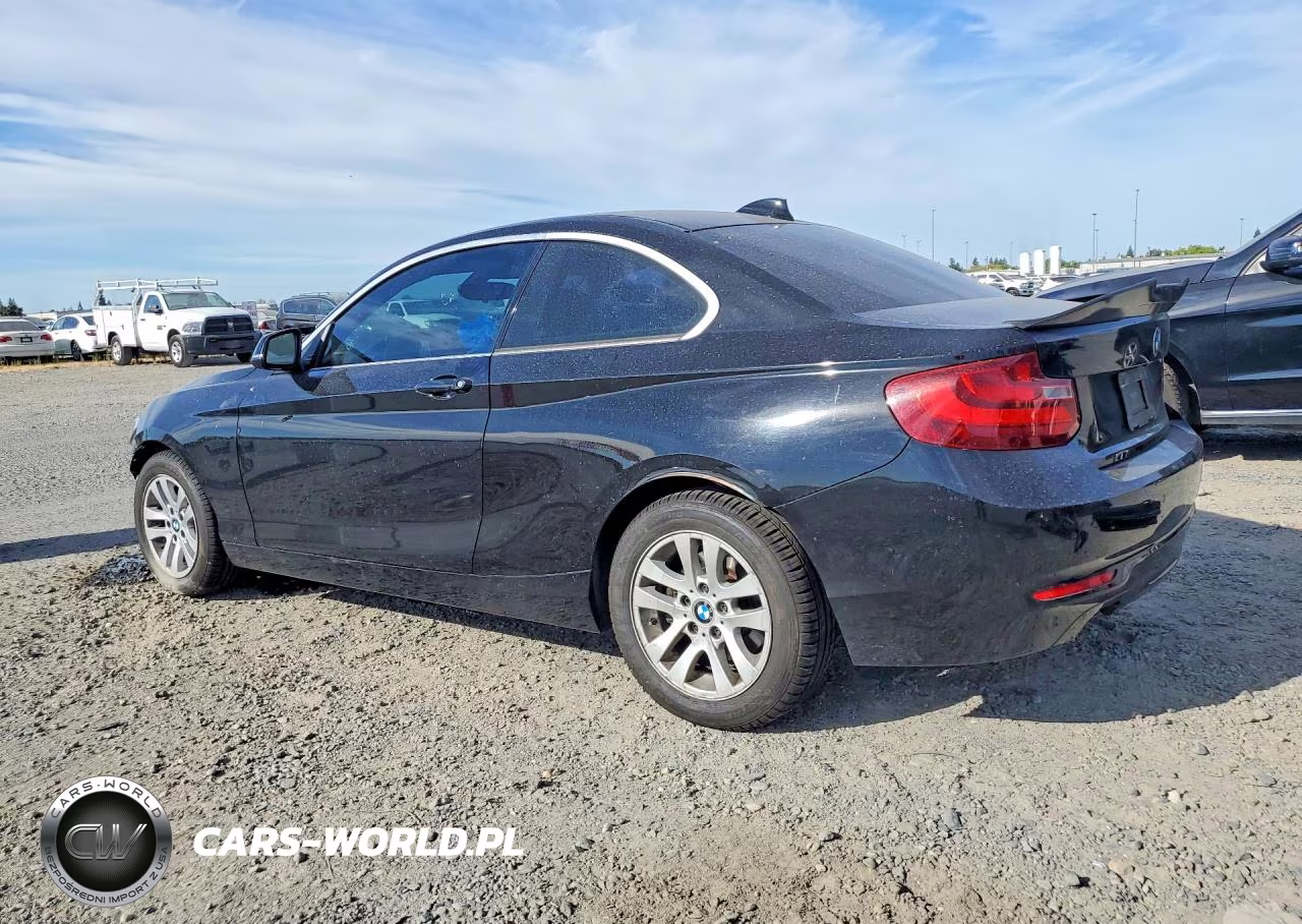 2015 BMW 228 Xi VIN:WBA1F7C59FVX96243 - 2