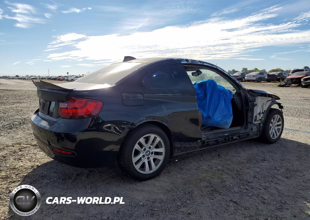 2015 BMW 228 Xi VIN:WBA1F7C59FVX96243 - 3