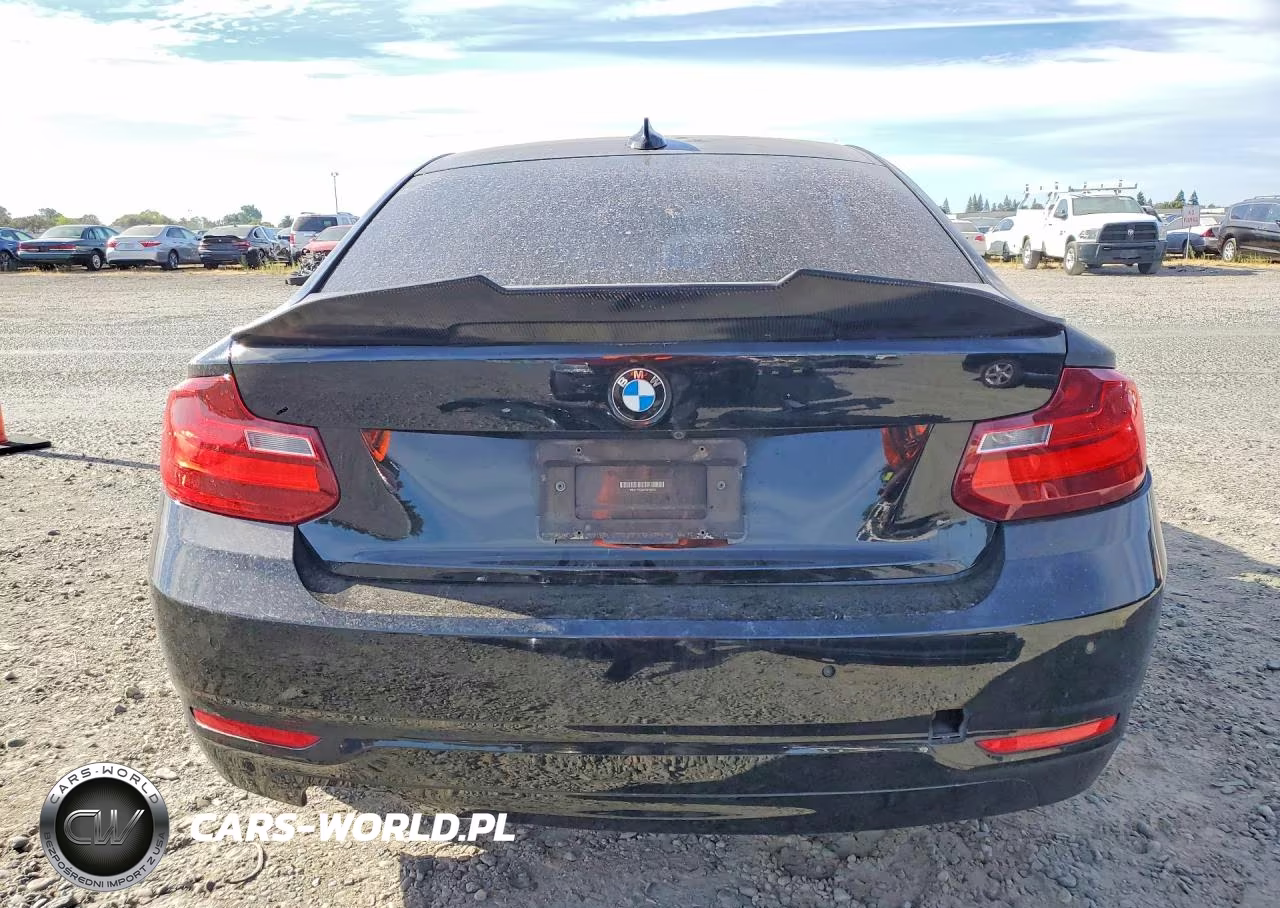 2015 BMW 228 Xi VIN:WBA1F7C59FVX96243 - 6