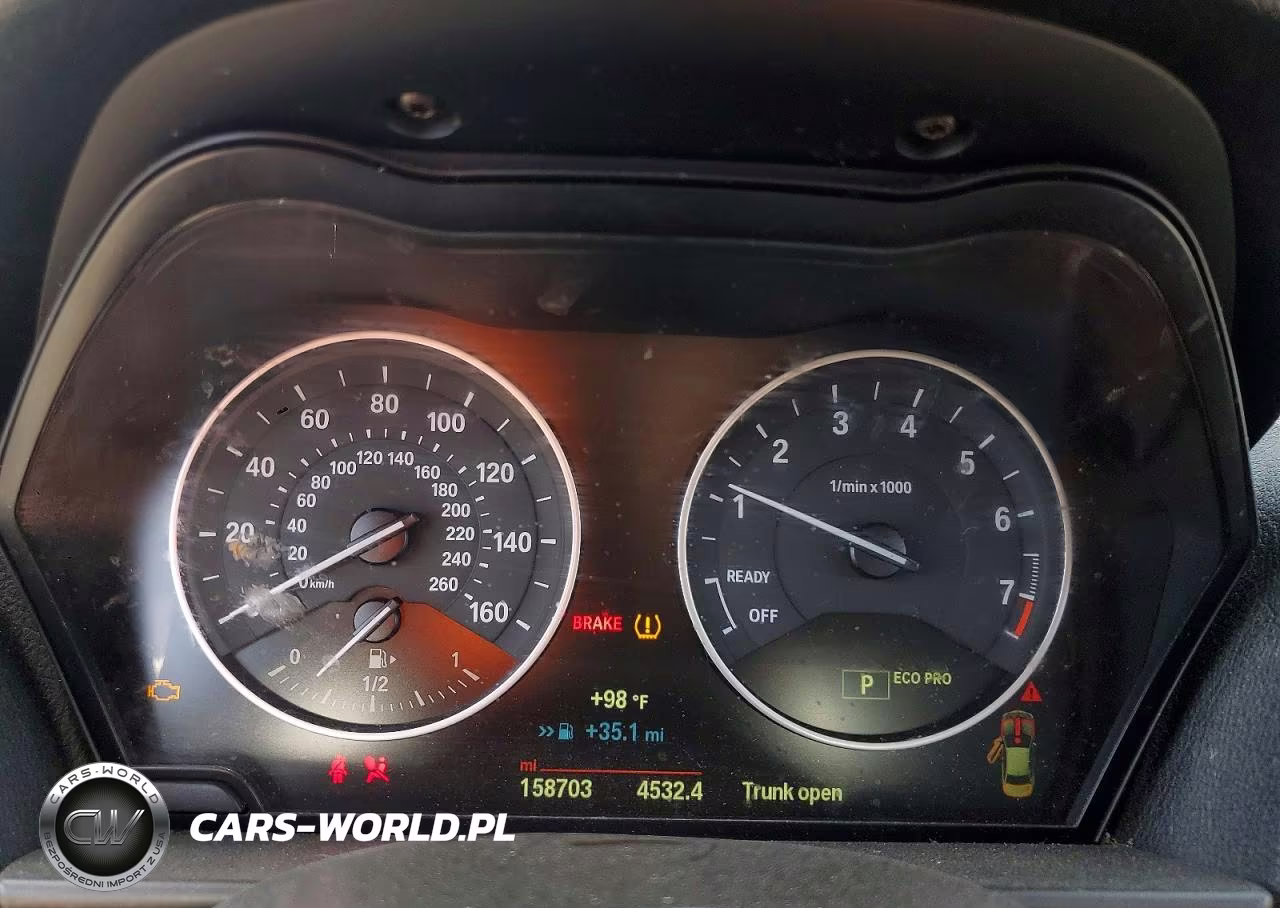 2015 BMW 228 Xi VIN:WBA1F7C59FVX96243 - 9