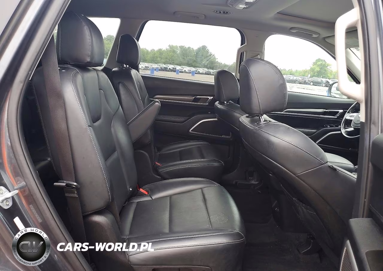 2020 Kia Telluride S VIN:5XYP6DHCXLG038921 - 11