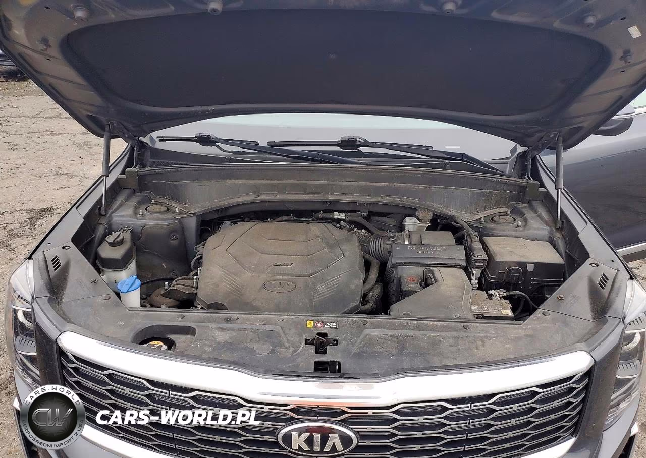 2020 Kia Telluride S VIN:5XYP6DHCXLG038921 - 12