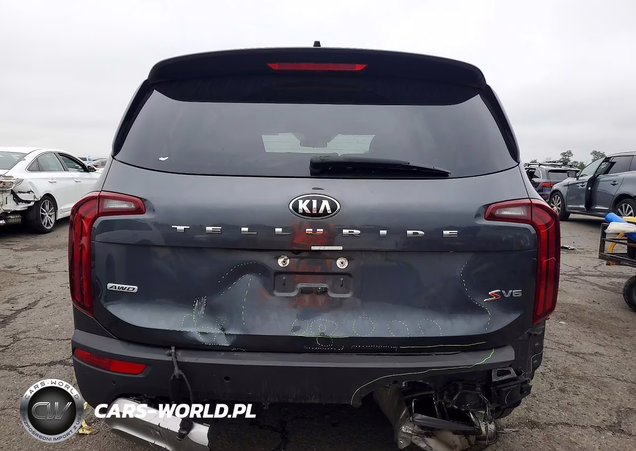2020 Kia Telluride S VIN:5XYP6DHCXLG038921 - 6