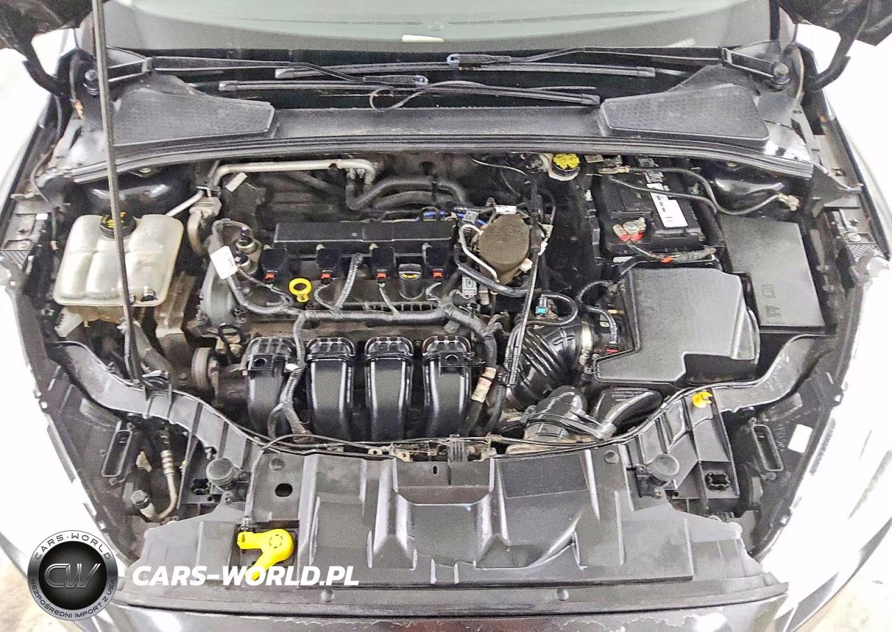 2015 Ford Focus Se VIN:1FADP3F20FL206116 - 11