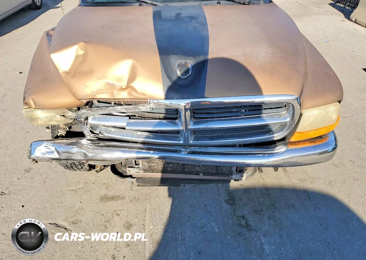 2000 Dodge Dakota VIN:1B7GL22X5YS674706 - 11