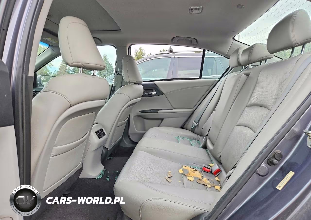 2013 Honda Accord Exl VIN:1HGCR3F81DA041191 - 10