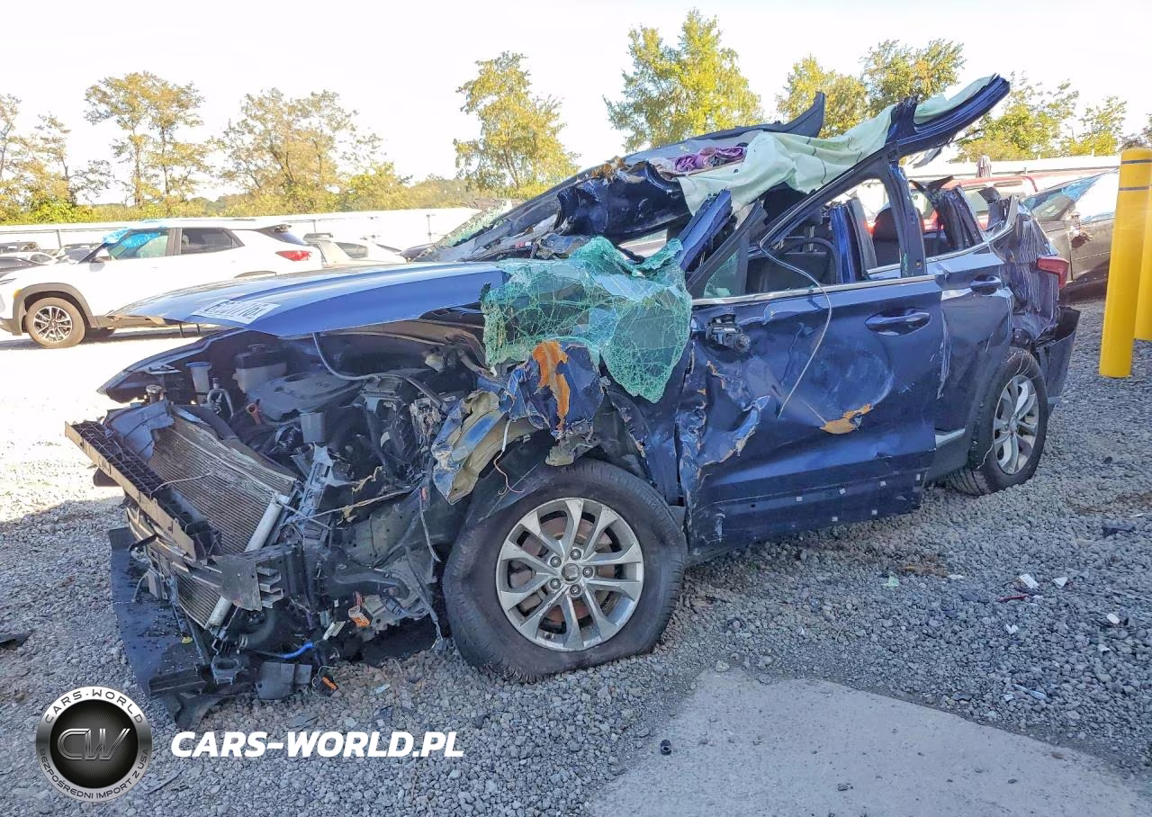 2019 Hyundai Santa Fe Se – zdjęcie 1 z 13