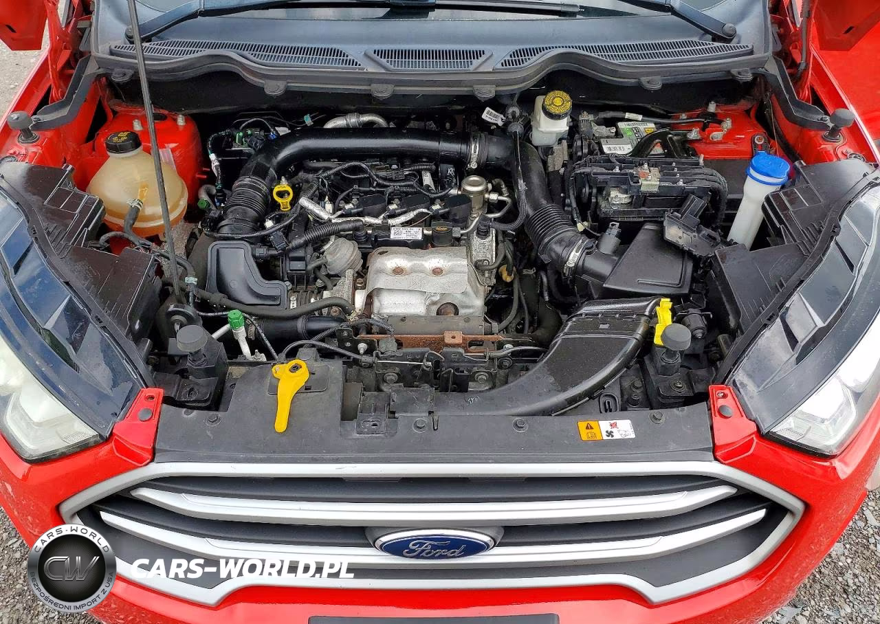 2018 Ford Ecosport Se VIN:MAJ3P1TE6JC199888 - 12