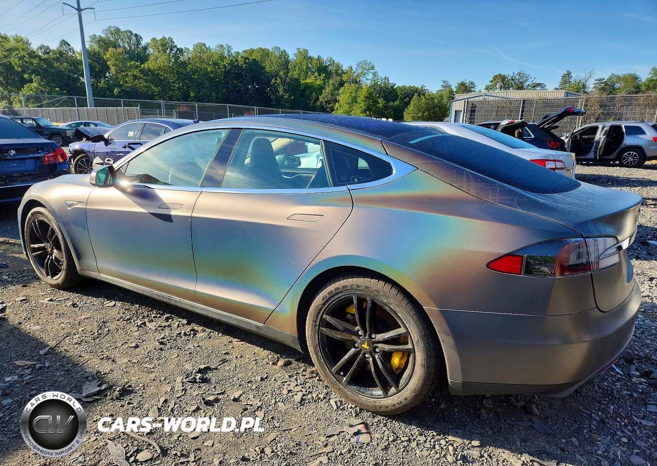 2014 Tesla Model S VIN:5YJSA1S12EFP35699 - 2