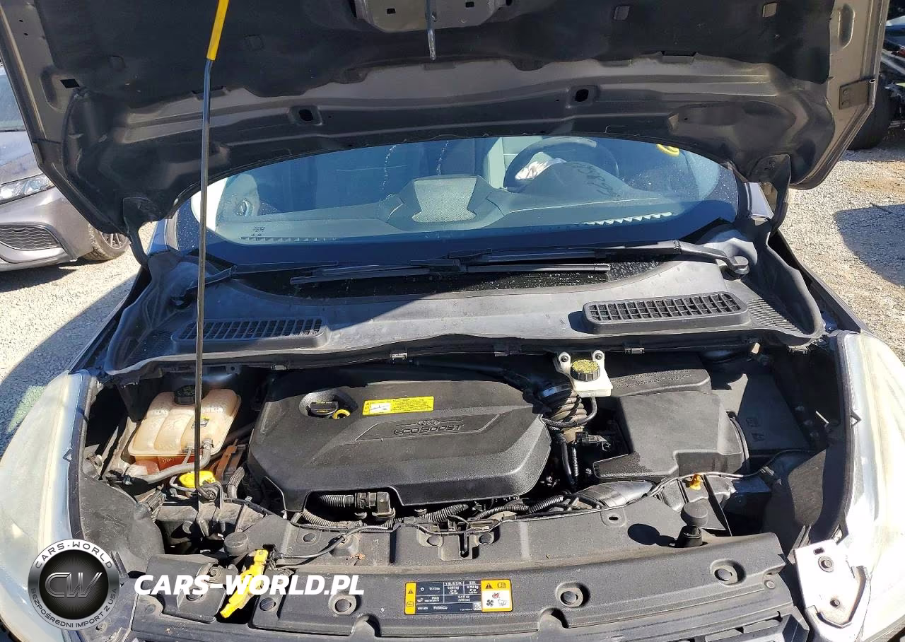 2013 Ford Escape Se VIN:1FMCU0GX5DUC24704 - 12
