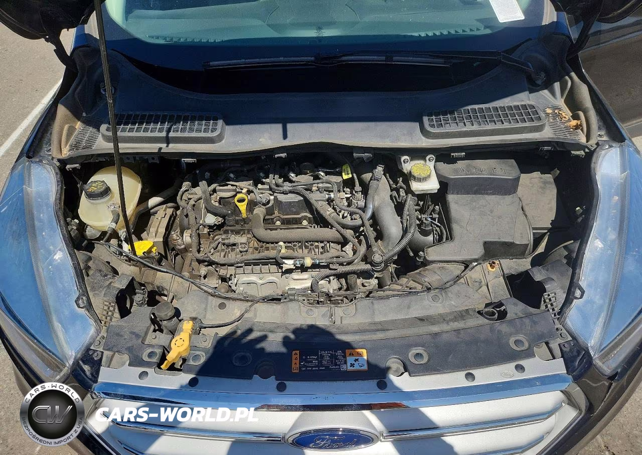 2019 Ford Escape Se VIN:1FMCU0GD1KUA41898 - 11