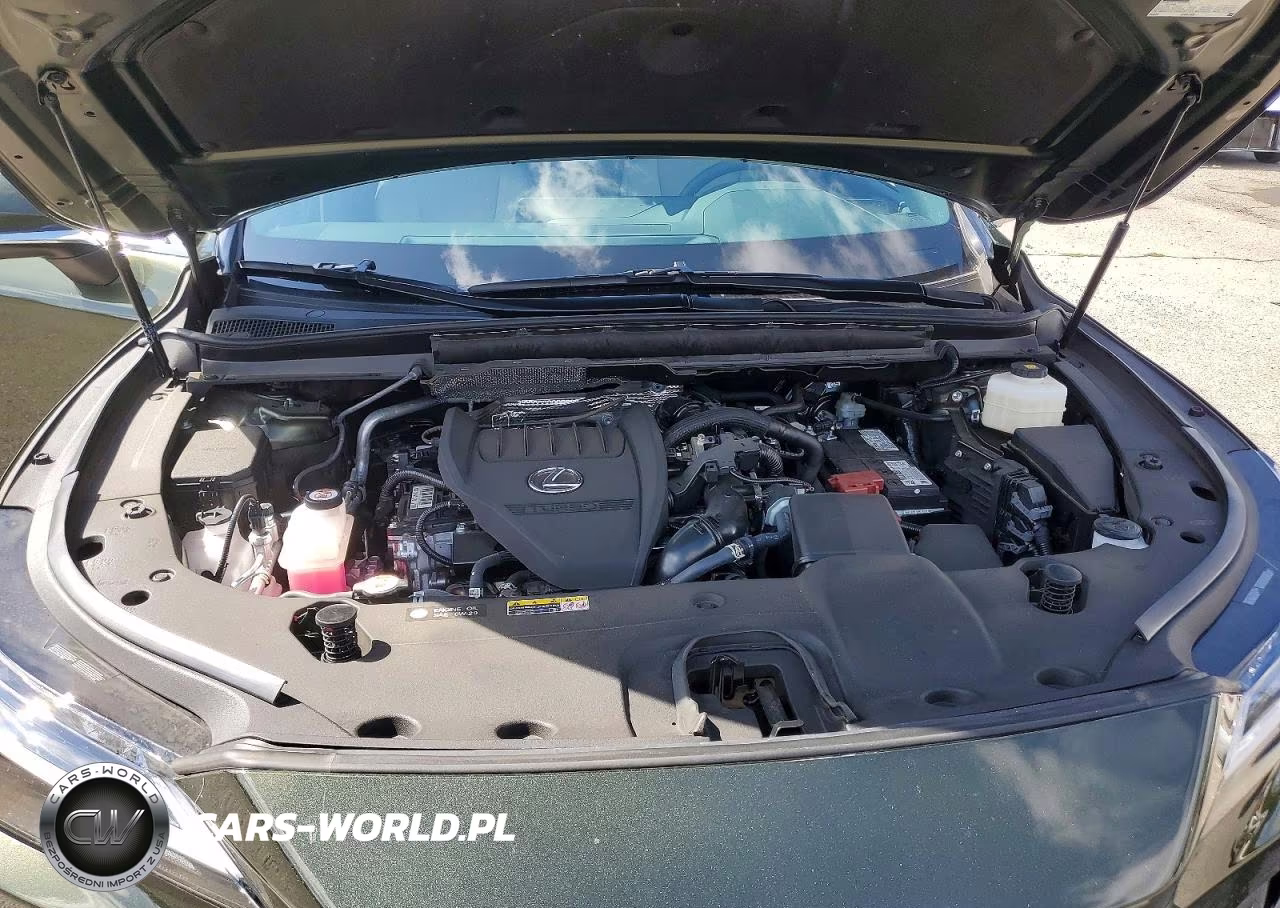 2025 Lexus Rx 350 Premium VIN:2T2BAMCA0SC090837 - 12