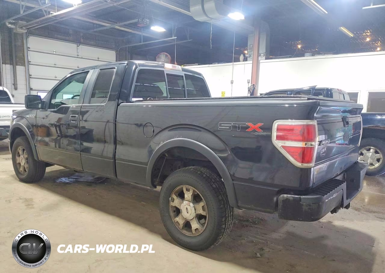 2009 Ford F150 Super Cab VIN:1FTRX14W09FA74455 - 2