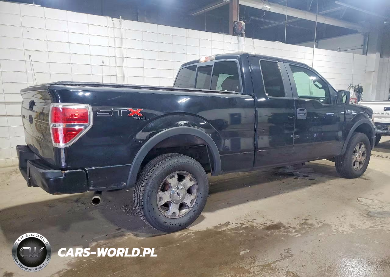 2009 Ford F150 Super Cab VIN:1FTRX14W09FA74455 - 3
