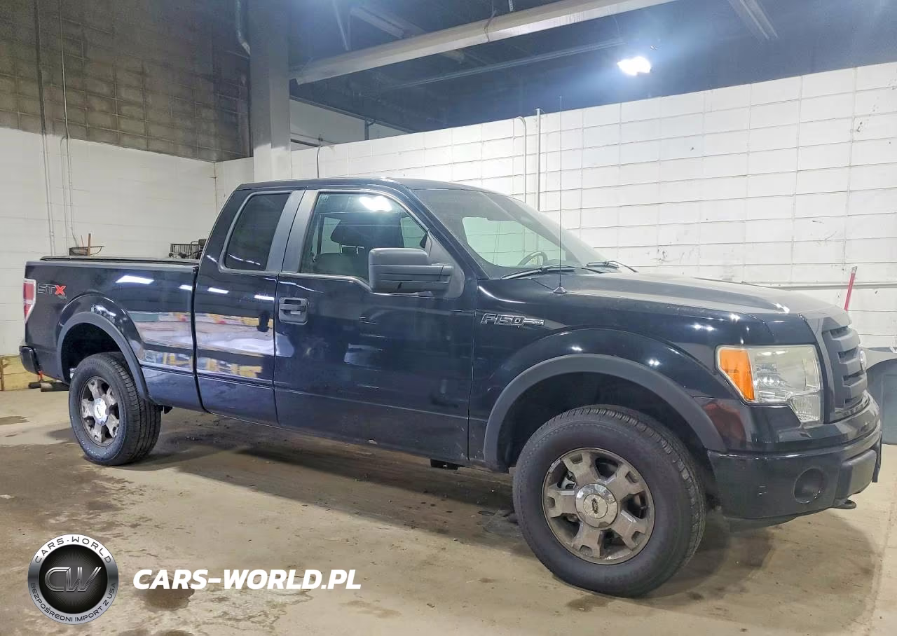 2009 Ford F150 Super Cab VIN:1FTRX14W09FA74455 - 4