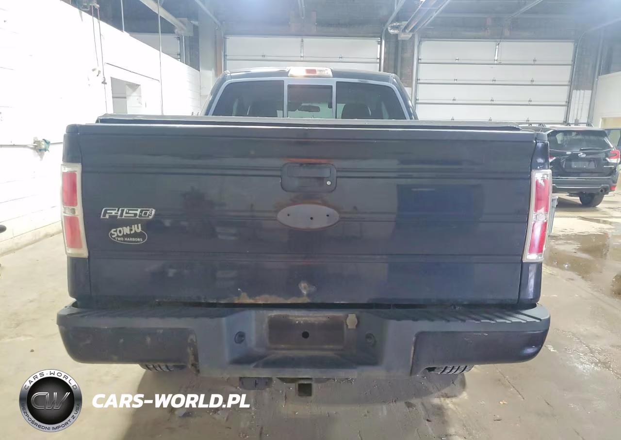 2009 Ford F150 Super Cab VIN:1FTRX14W09FA74455 - 6