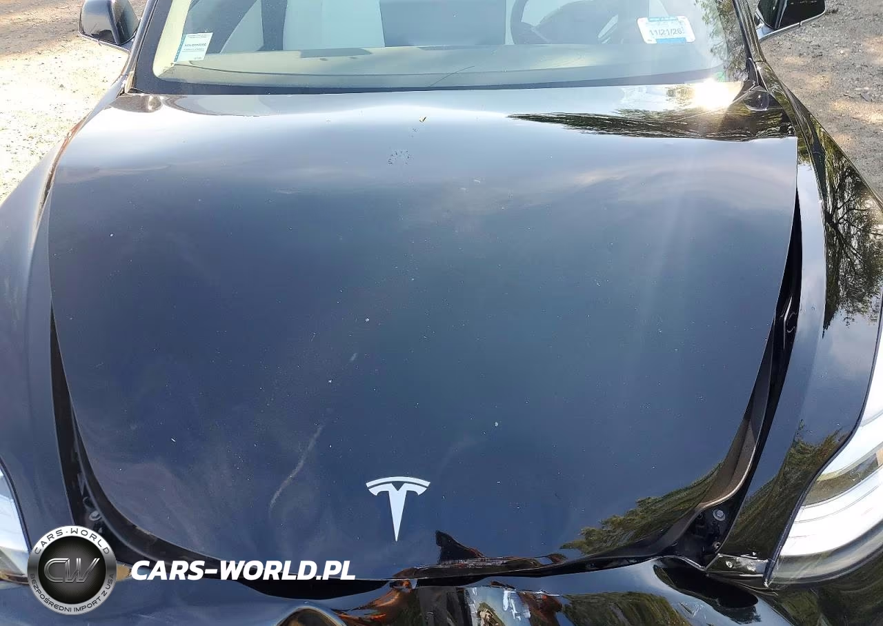 2020 Tesla Model 3 VIN:5YJ3E1EC2LF669495 - 11