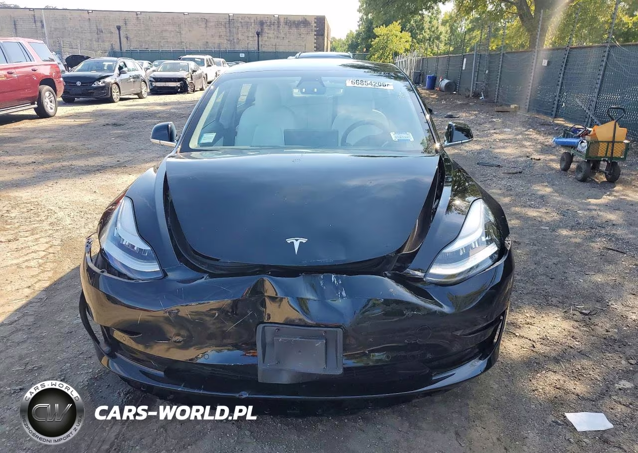 2020 Tesla Model 3 VIN:5YJ3E1EC2LF669495 - 5