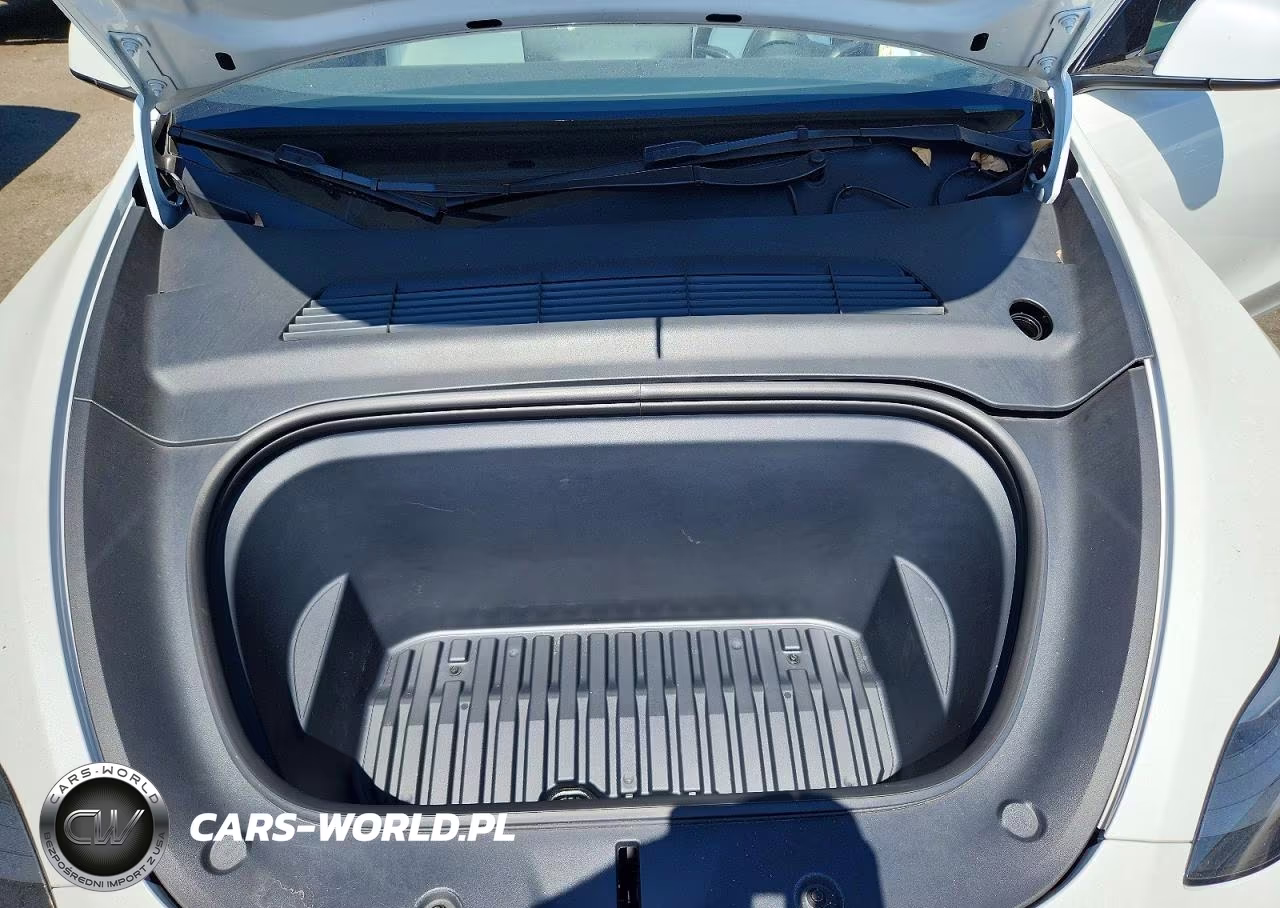2023 Tesla Model Y VIN:7SAYGDEE3PF635674 - 12