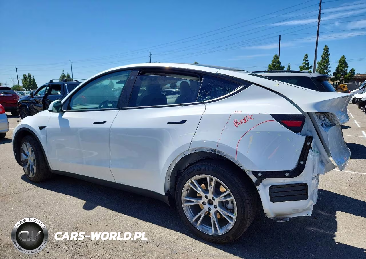 2023 Tesla Model Y VIN:7SAYGDEE3PF635674 - 2