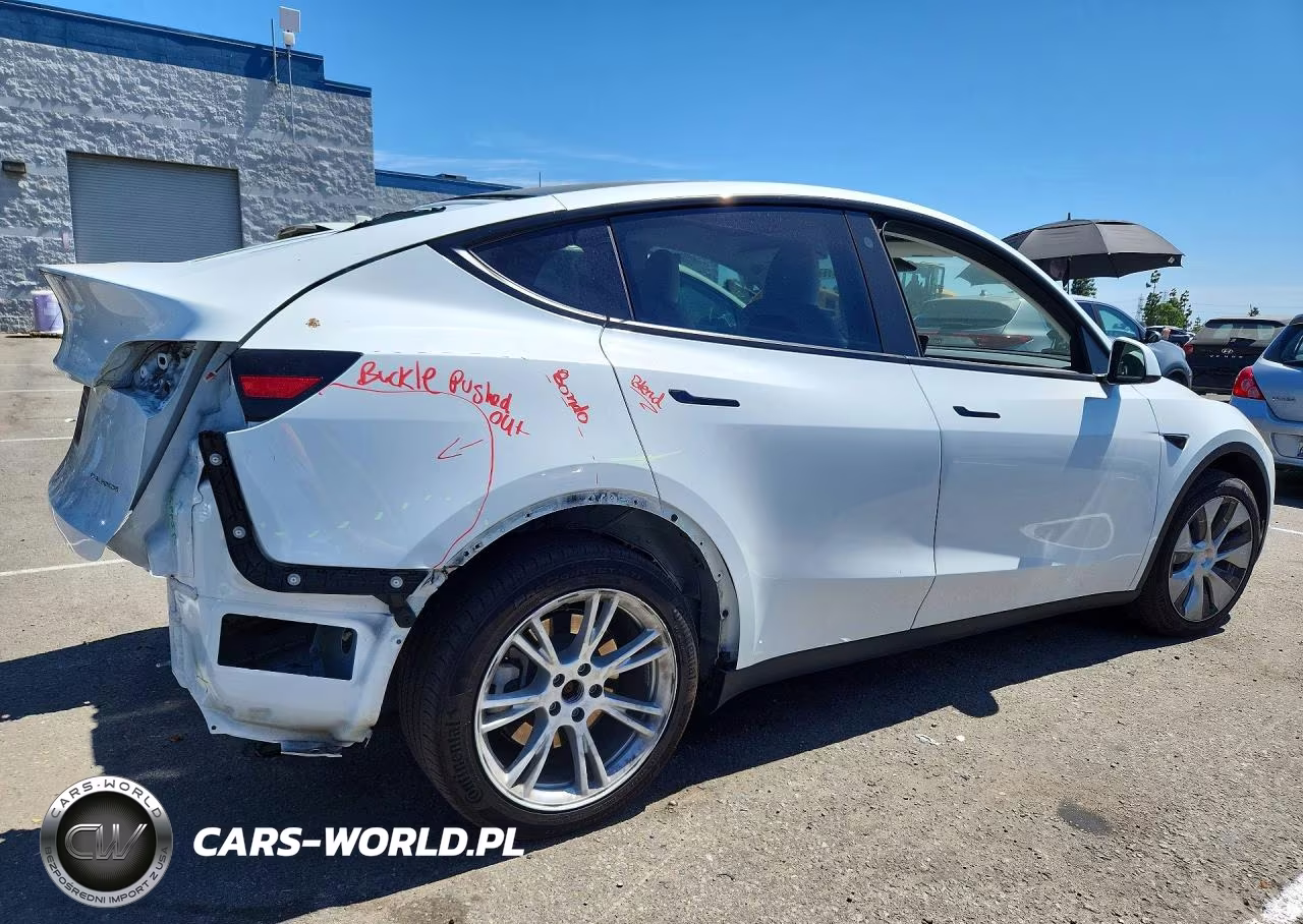 2023 Tesla Model Y VIN:7SAYGDEE3PF635674 - 3